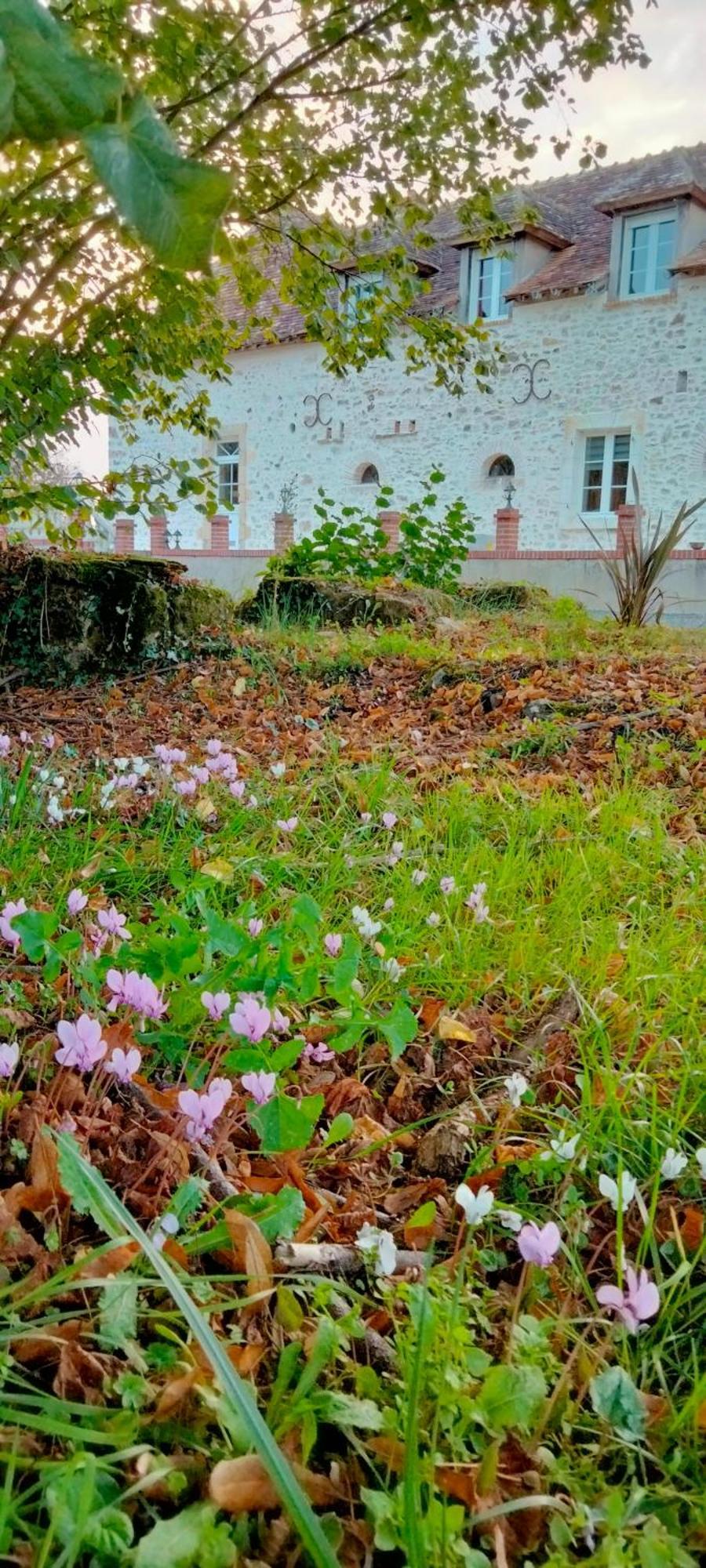 Gite & Chambre D'Hotes Du Moulin Villa Brulon Exterior photo